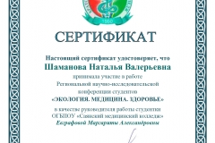 Сертификат Шаманова Н.В., Братск