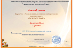 Zlygostev-Ilya-_page-0001